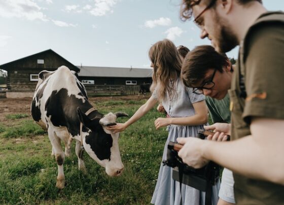 Beneficio del veganismo para los animales