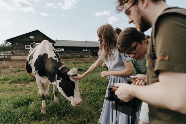 Los beneficios del veganismo para los animales